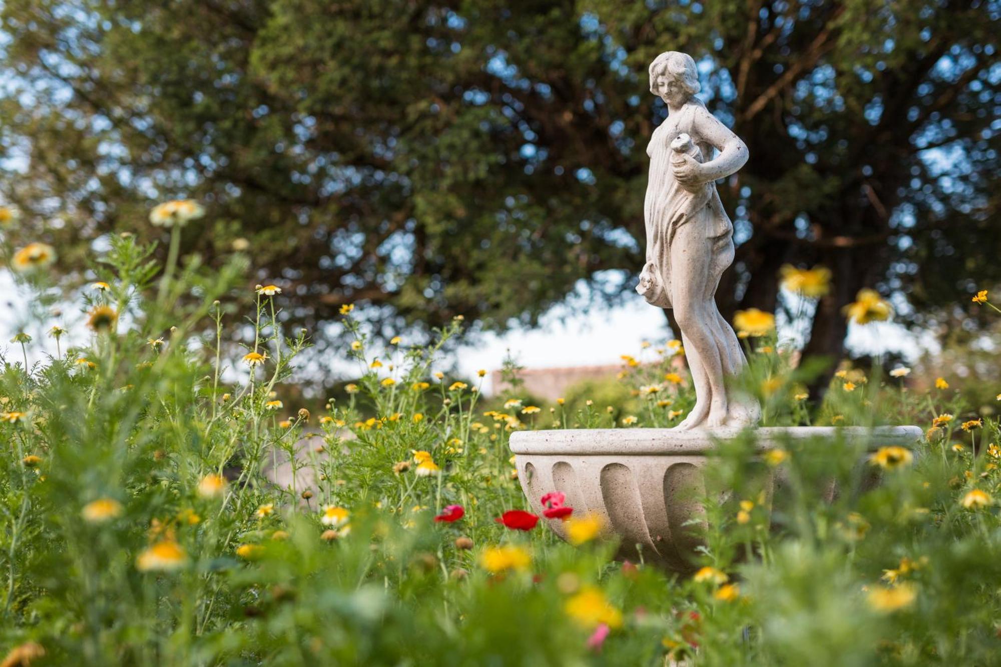 Chateau Montplaisir Charming B&B In Provence Valréas Buitenkant foto