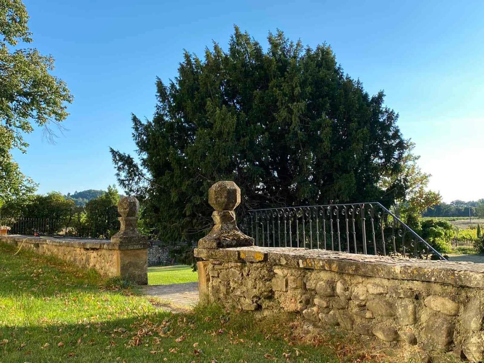 Chateau Montplaisir Charming B&B In Provence Valréas Buitenkant foto